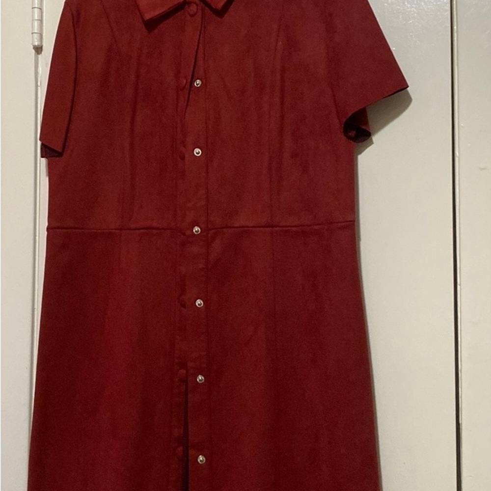 Zara dress